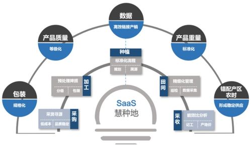 消費食品 永遠光明的賽道