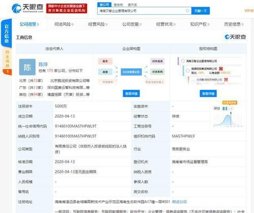 國美在海南斥資1億成立兩家企業管理公司