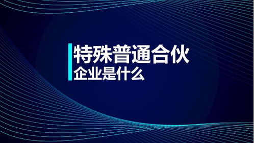 財務管理基本原理 特殊普通合伙企業是什么