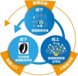 慢病管理平臺,企業概況